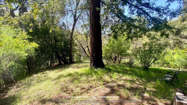 66 Tara Road, Orinda, CA 94563 photo 3