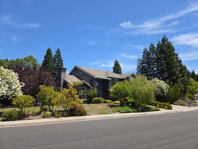 206 Murcia Ct Danville, CA 94506 photo 3