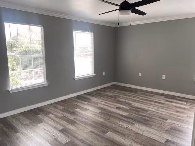 8113 Lalew Cove Austin, TX 78747 photo 5