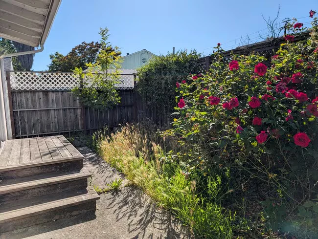 411 S E St Santa Rosa, CA 95404 photo 2
