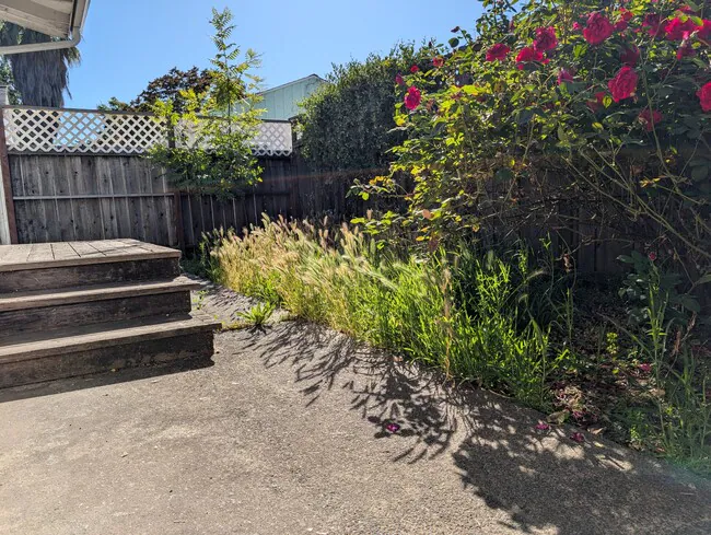 411 S E St Santa Rosa, CA 95404 photo 3