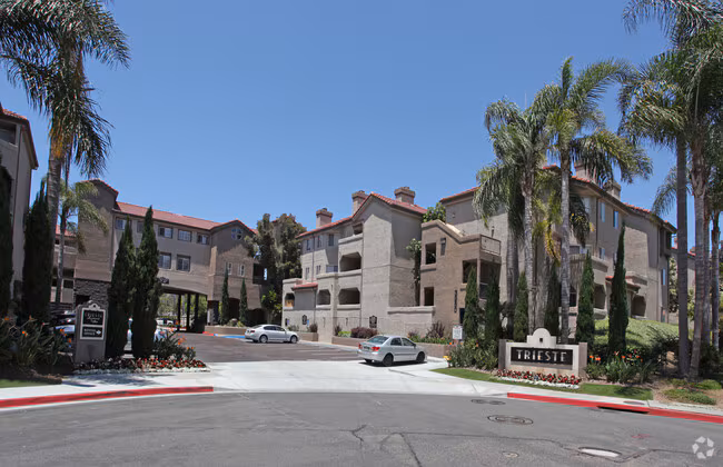 Axiom La Jolla photo 4