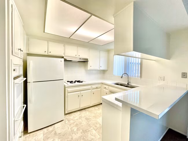 267 Alestar St Vista, CA 92084 photo 3