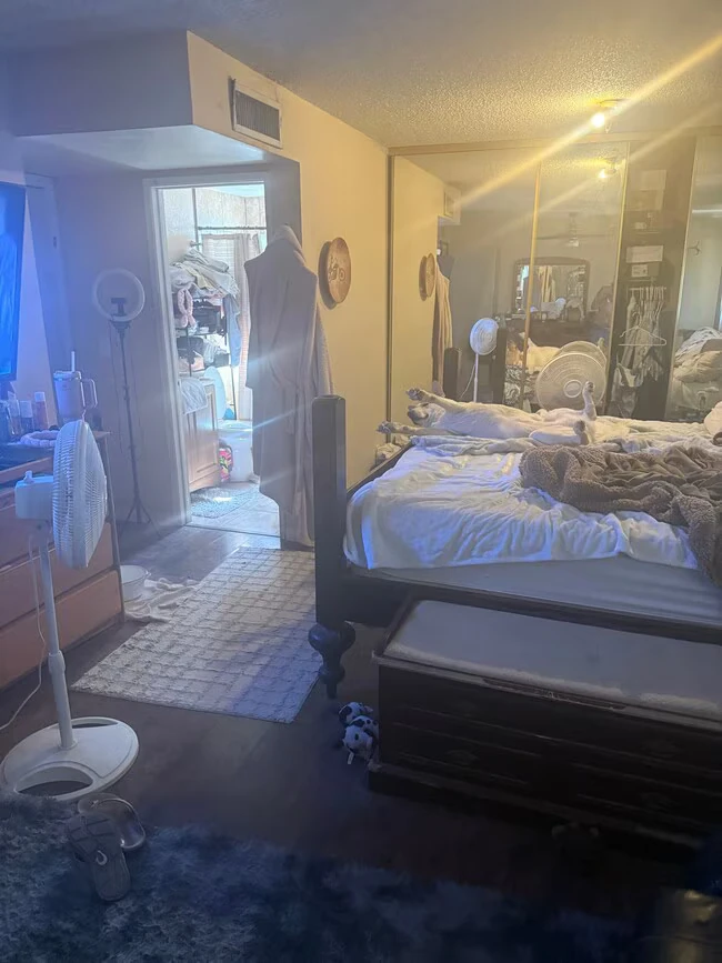 328 E Holmes Ave Mesa, AZ 85210 photo 5