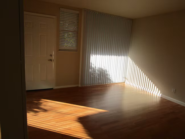 La Palma Apartments photo 3