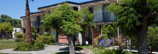 La Palma Apartments photo 4