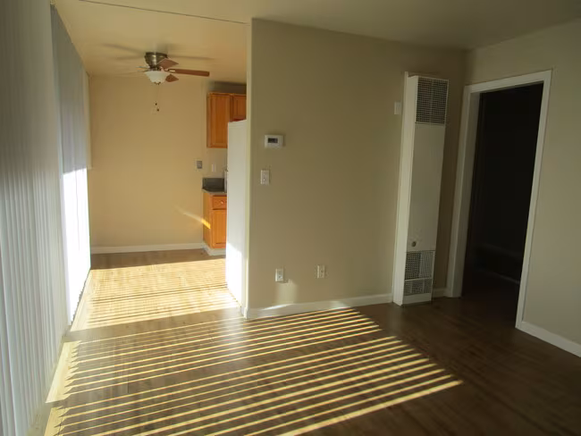 La Palma Apartments photo 2