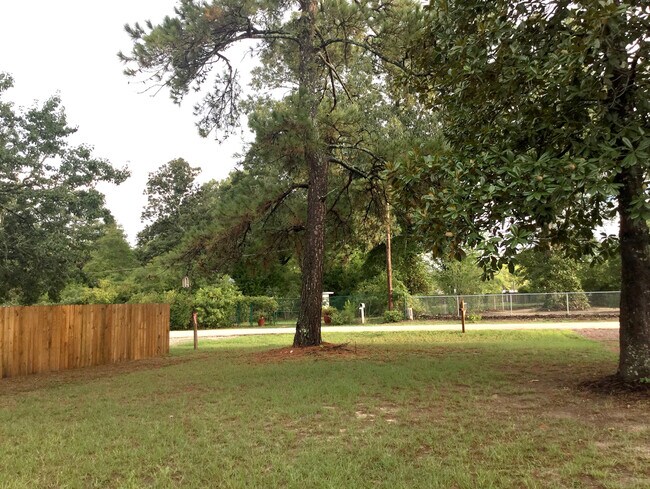 25745 Dulaney Street, Splendora, TX 77372 photo 4