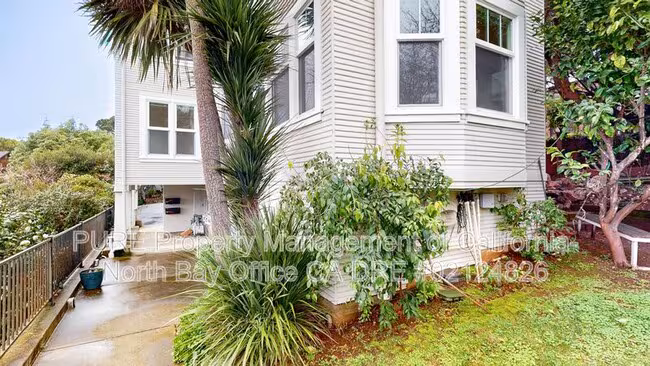 195 San Carlos Ave Sausalito, CA 94965 photo 3