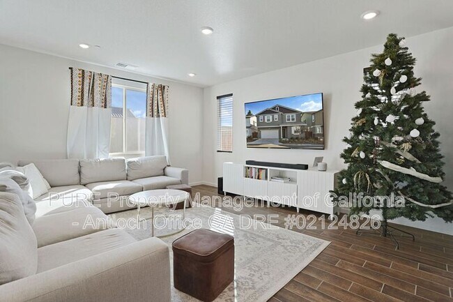 896 Diego Dr photo 5