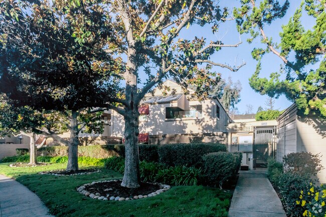 Los Gatos Commons photo 3