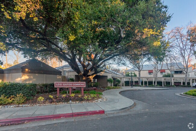 Los Gatos Commons photo 5