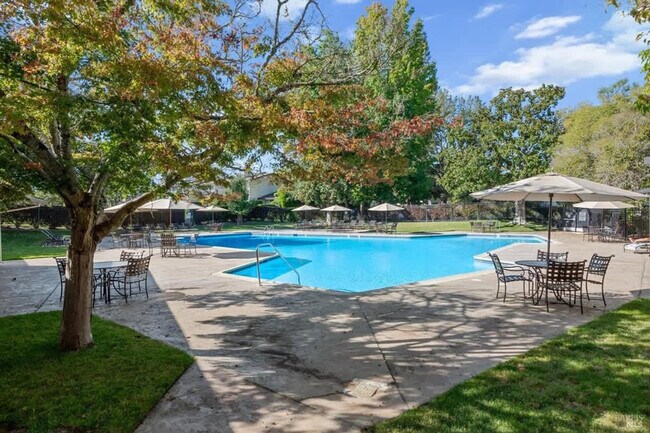 1600 Atlas Peak Rd Napa, CA 94558 photo 4