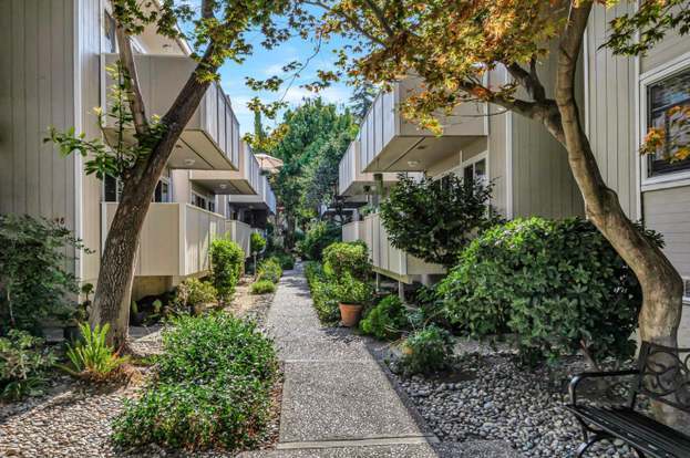 3bd/2ba Condo photo 2