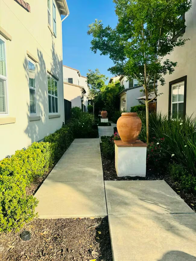 3026 Blackberry Ave San Ramon, CA 94582 photo 2