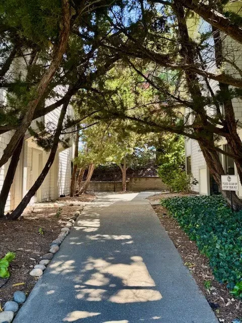 1407 Marchbanks Dr Walnut Creek, CA 94598 photo 5