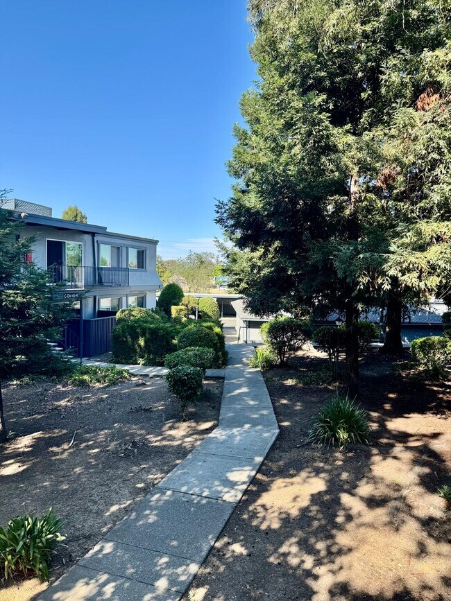 430 Alameda del Prado Novato, CA 94949 photo 4