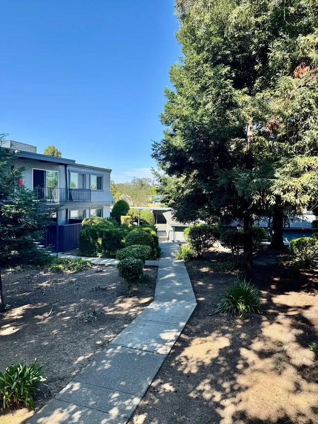 430 Alameda del Prado Novato, CA 94949 photo 4