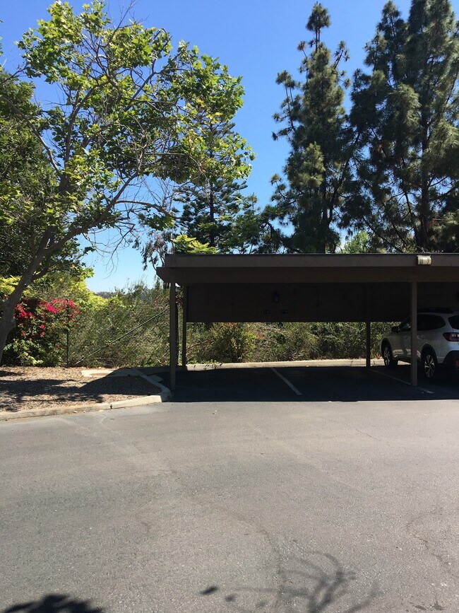 12675 Camino Mira del Mar San Diego, CA 92130 photo 3