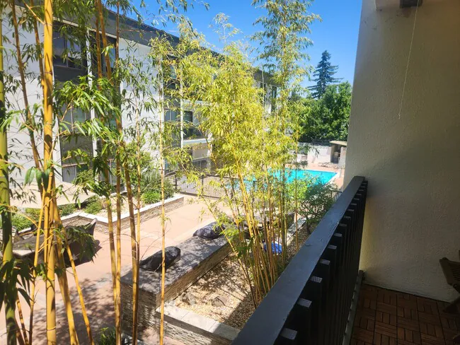 316 N El Camino Real San Mateo, CA 94401 photo 5