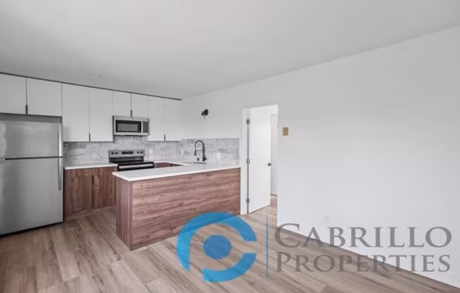 207 E 1st Street photo 2