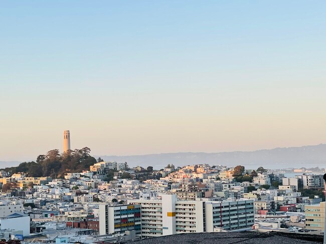 1150 Clay St San Francisco, CA 94108 photo 4