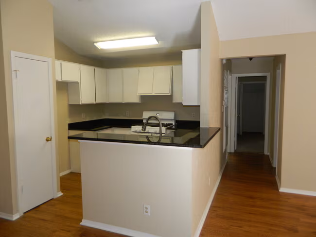 2502 Howellwood Wy Austin, TX 78748 photo 3