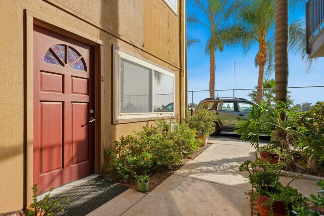 Close to SDSU photo 2