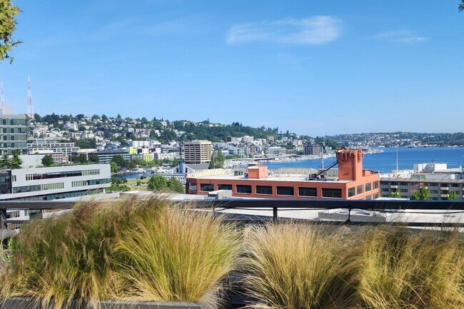Mercerview Apartments photo 2