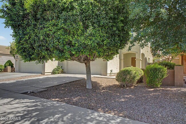 8777 W Dahlia Dr Peoria, AZ 85381 photo 5