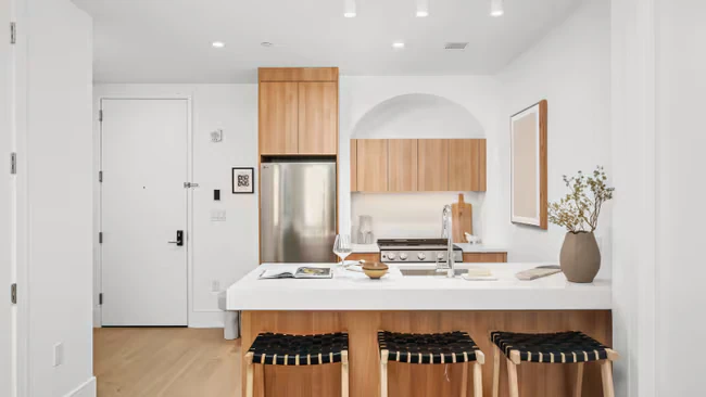 151 S Elliott Pl Brooklyn, NY 11217 photo 4