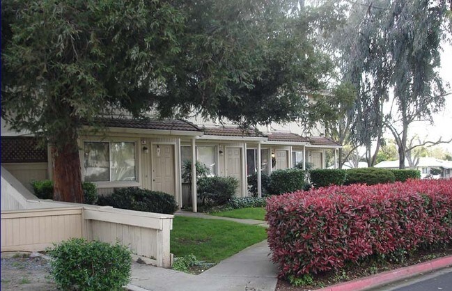 3886 Mulberry Drive, Concord, CA 94519 photo 2