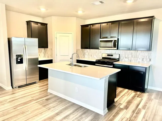 3708 Sweet Watermelon Ln Buda, TX 78610 photo 5