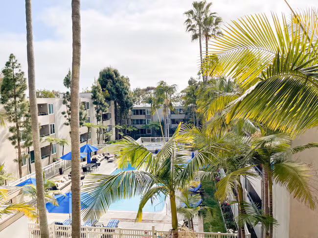 Los Arboles Apartments photo 4
