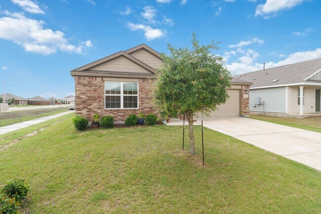 507 Agave Flats Dr New Braunfels, TX 78130 photo 2
