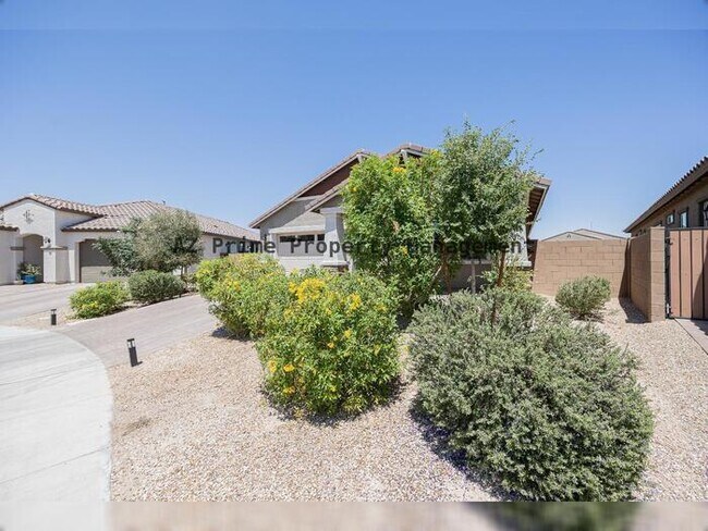 4607 S 111th Dr Tolleson, AZ 85353 photo 5