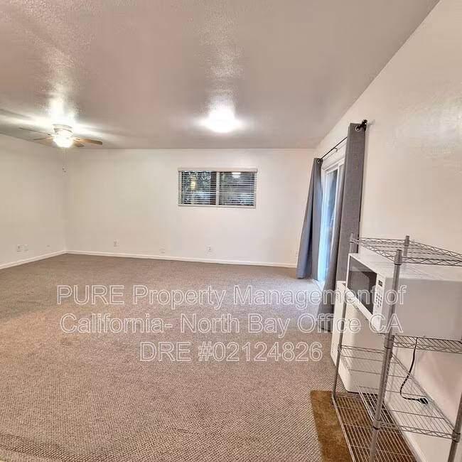 760 Bodega Ave Petaluma, CA 94952 photo 4