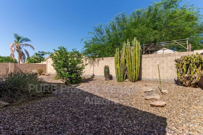 737 S Sycamore Pl Chandler, AZ 85224 photo 5