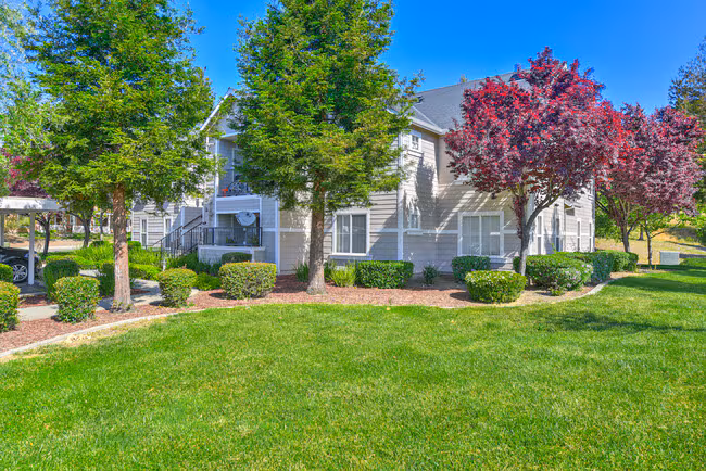 BAY VISTA AT MEADOW PARK photo 5