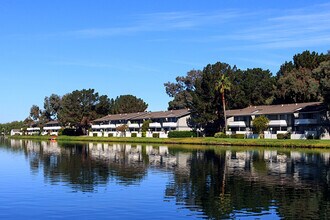 Sand Cove photo 4