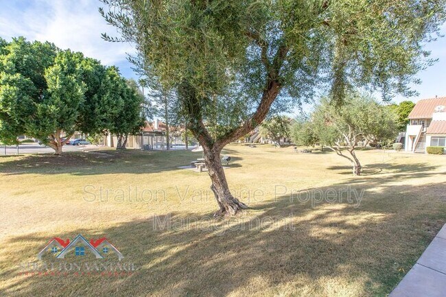 30 E Brown Rd Mesa, AZ 85201 photo 3