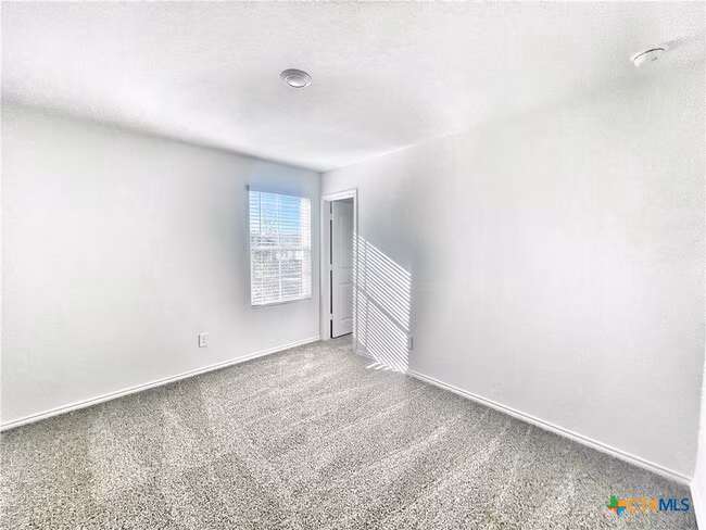 321 Cottonmouth Ln Seguin, TX 78155 photo 4