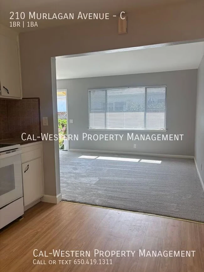 210 Murlagan Ave Mountain View, CA 94043 photo 2