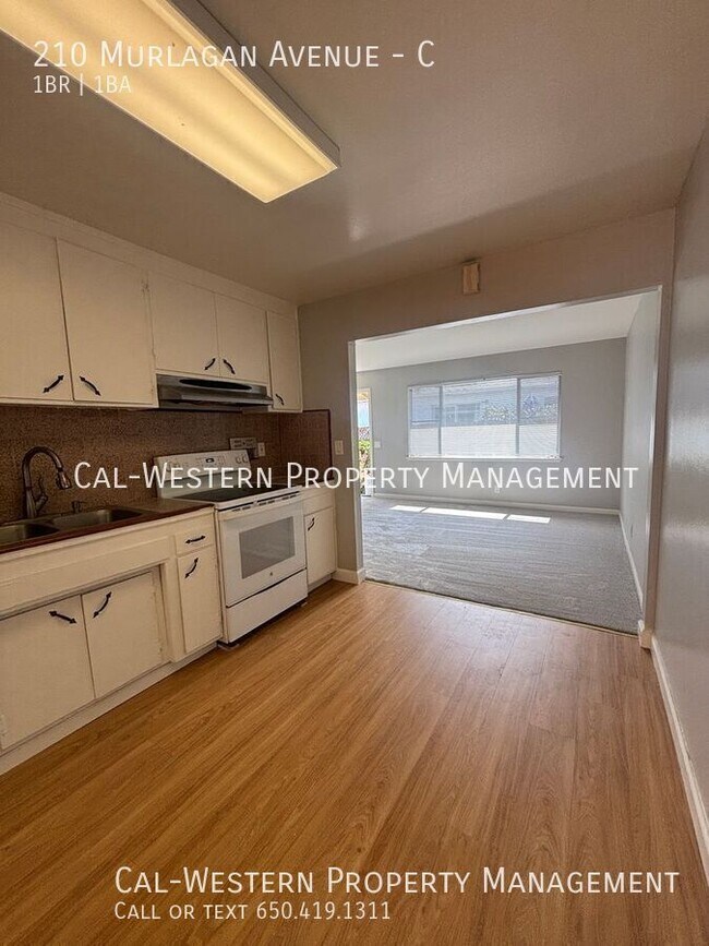 210 Murlagan Ave Mountain View, CA 94043 photo 3