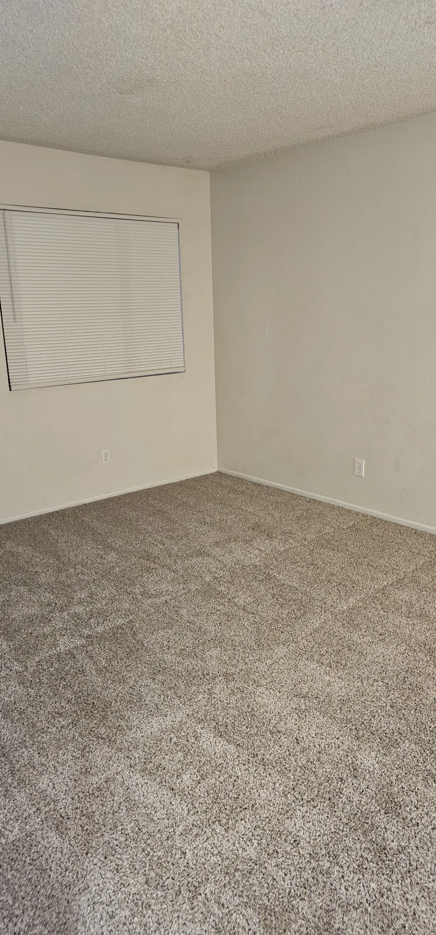 2745 N Salem #201 photo 4