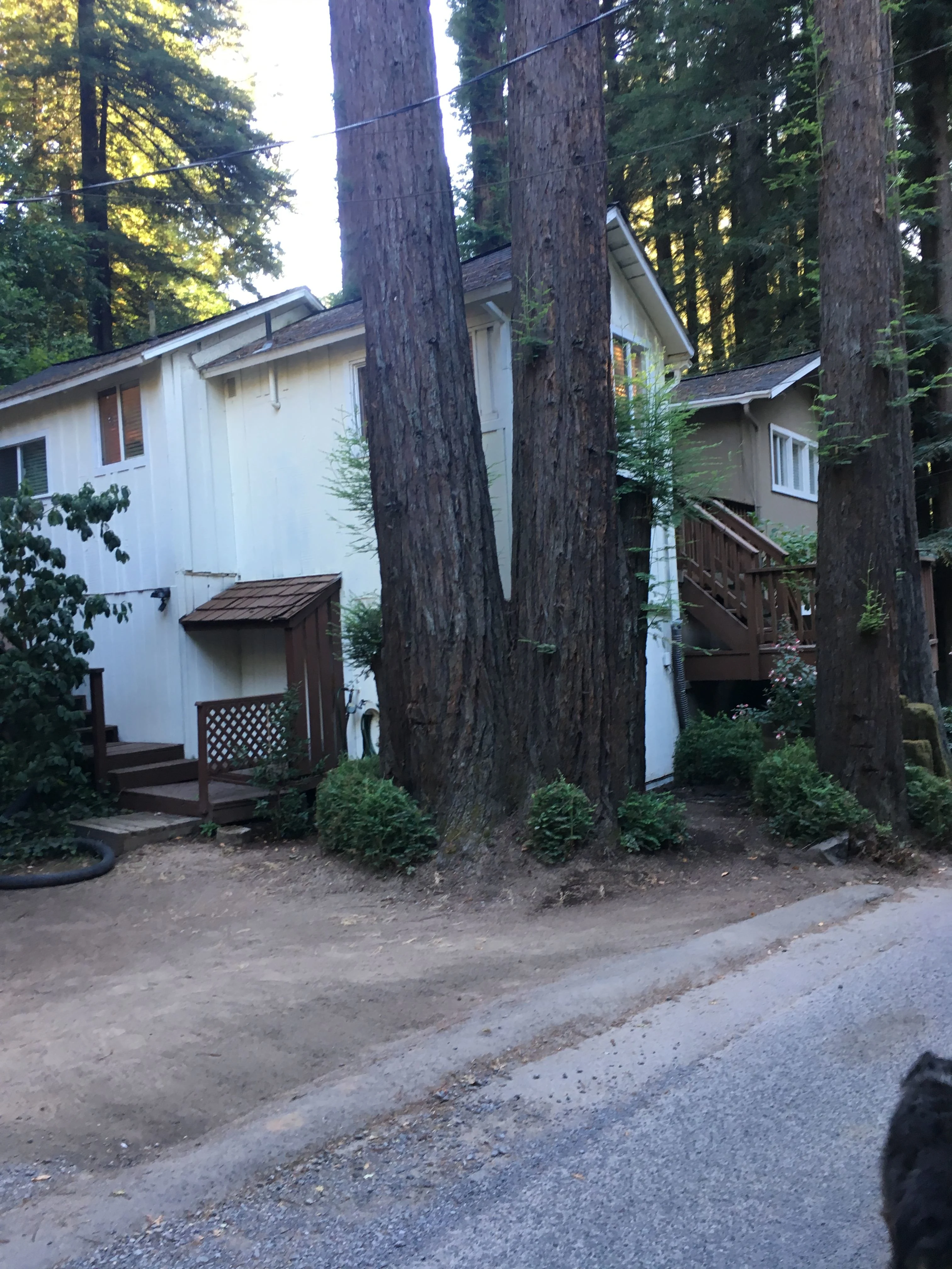 14538 Canyon 1 Rd Guerneville, CA 95446 photo 3