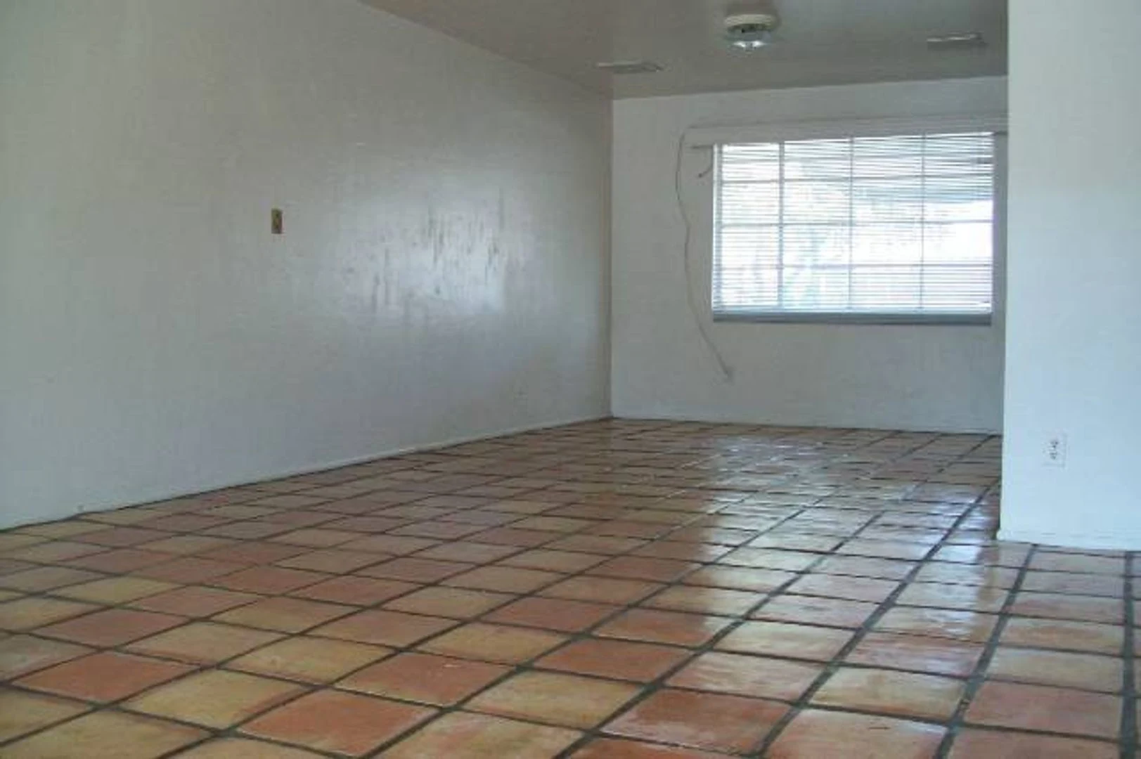 1204 W 7th St Tempe, AZ 85281 photo 4