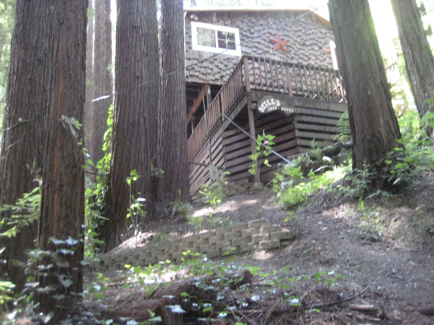 One bedroom Private Hilltop home washer, dryer, decks, redwoods photo 2