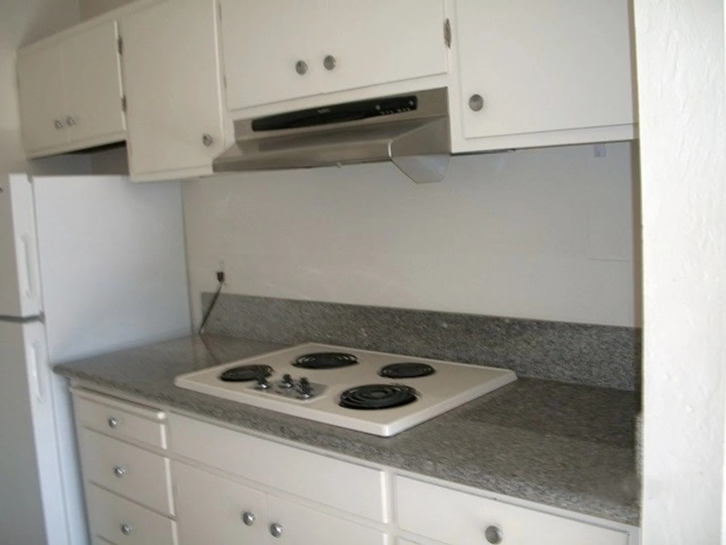 2BR/2BA Apartment on Walnut Street · Berkeley photo 4