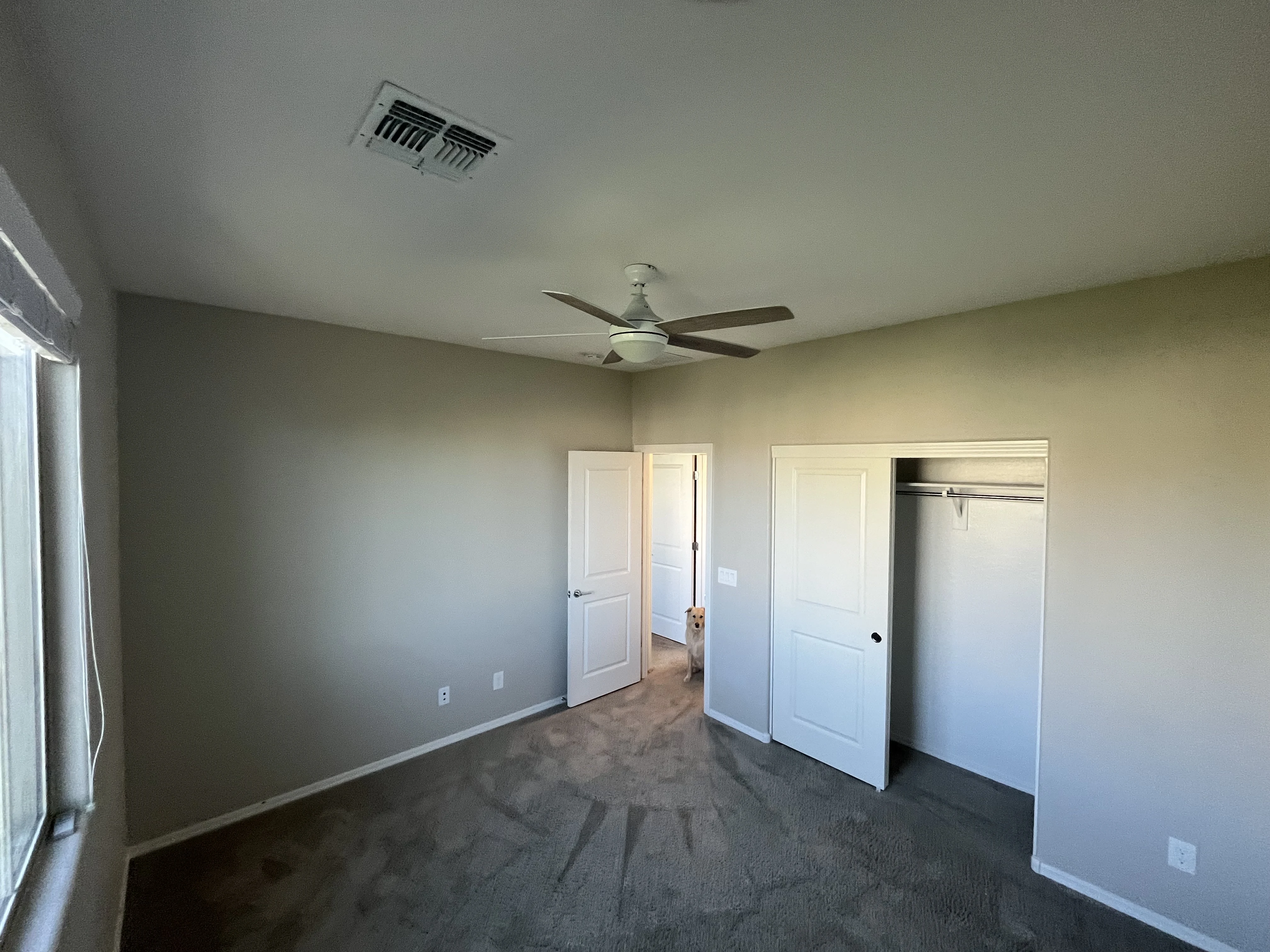 1636 East Dogwood Lane photo 4